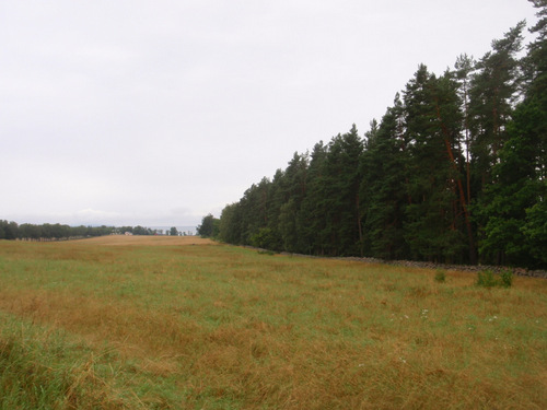 Flat field with Lake Vättern on the horizon.